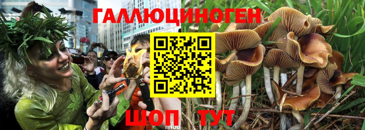 Елец  Псилоцибиновые грибы ЛСД  Вход с VPN 