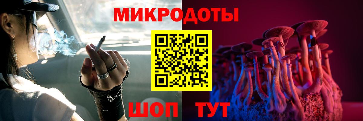 Галлюциногенные грибы Psilocybe Елец